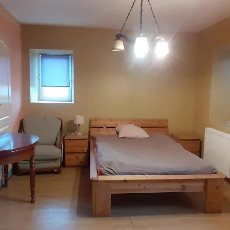 Grande Lumineuse De 18 M² ホームステイ