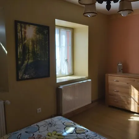 Grande Lumineuse De 18 M² ホームステイ Bust